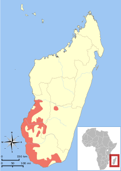 Distribución del sifaca de Verreaux