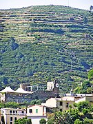 Vignoble de Riomaggiore.