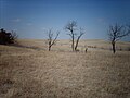 Tallgrass Prairie National Preserve