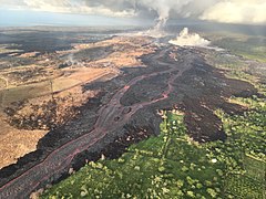 7月10日 Fissure 8からの溶岩流。卓越風に流された火山ガスによって風下側の植物の葉が枯れている。左が南方。