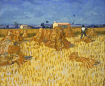 Harvest in Provence at Wheat Fields, by Vincent van Gogh