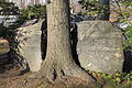 This monument in the Zion church cemetery is inscribed "Here rest the last of the Matinecoc." It commemorates the Native Americans whose remains were found and moved to the cemetery when nearby Northern Boulevard was widened in the 1930s.