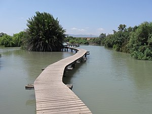 שביל צף בשמורת הטבע עין אפק.