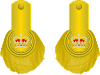 Lieutenant-Colonel