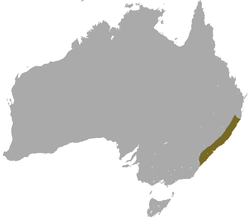 Mapa de distribución de Antechinus stuartii