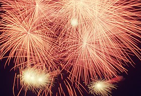 Feu d'artifice pour la fête du Canada au-dessus du Centennial Park à Toronto.