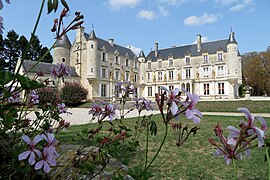 Le château de Terre-Neuve.