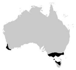 Distribución geográfica del género Geocrinia.