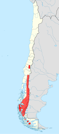 Ubicación geográfica del huemul por el sur de Chile , suroeste de Argentina , y suroeste indígena mapuche en 2013.[1]​ En 1900 abarcaba un área mucho mayor y más densamente poblada de huemules por toda la Patagonia, en Sudamérica, cerca del Pacífico.