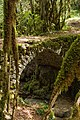 Pont médiéval de la Pie sur le Dard.