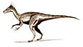 Ornitholestes v.2