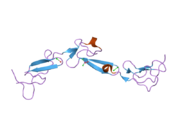 2box: EGF DOMAINS 1,2,5 OF HUMAN EMR2, A 7-TM IMMUNE SYSTEM MOLECULE, IN COMPLEX WITH STRONTIUM.