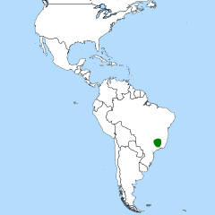 Área de maior concentração de espécies do género. Porém Paepalanthus ocorre em outras localidades além da área destacada em verde.