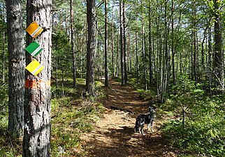 Markeringar för "Sameslingan", "Brinkslingan" och "Huddingeleden".