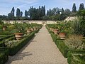 The citrus garden contains more than five hundred pots of lemon and orange trees.