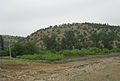 Minuscule plantation de poiriers à Souk-n-Ouzdir