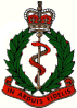 A medical badge with a wreath and a snake in it, reading "In ardus fidelis"