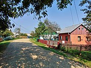 A road in Pleșa