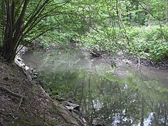 The Schiffwasser in the Illwald.