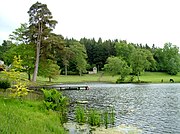 The lake