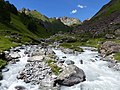 Tasnan bei der Alp Valmala