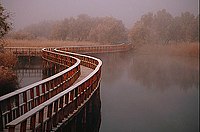 Vista del parque nacional de las Tablas de Daimiel.