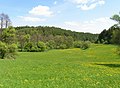 Die Landschaft bei Křenovice (Vojkov)