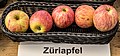 Züriapfel