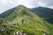 Golets et arbrisseaux, vue depuis le Mont Ko.