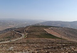 גבעת רונן במבט מהר ברכה על רקע כרמי יקב טורא. מצד ימין בחלקה העליון של התמונה ניתן לראות את היישוב יצהר ומצפה יצהר, במרכז התמונה, מאחורי גבעת רונן, ניתן לראות את הכפר חווארה, ומצד שמאל ניתן לראות חלק מכביש עוקף חווארה ואת העיירה ביתא.