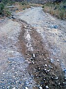 On the approach down Darwin Canyon, the dry soil develops into a moist mud path which begins to reveal water.