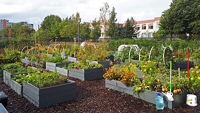 Jardin communautaire de Priisle.