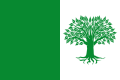 Bandera de Almendros (3:2)