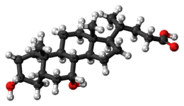 Ball-and-stick model of the chenodeoxycholic acid molecule