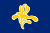 Flag of the Brussels-Capital Region, featuring the iris