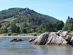 Bacharacher Werth mit Flossenreißer