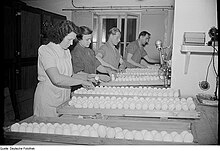 Turning duck eggs in front of incubators, Germany, 1952