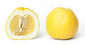 열매(노란 과육) 단면