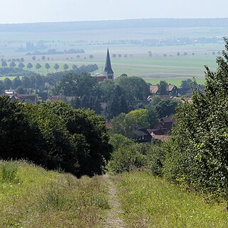 Blick vom Dorm über Groß Steinum Richtung Elm