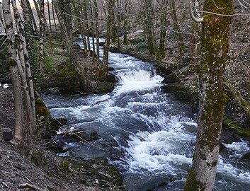 La Haute Loue à Miremont, en limite de Lanouaille et Savignac-Lédrier.