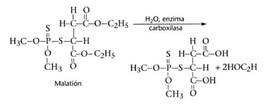 Hidrólisis de malatión