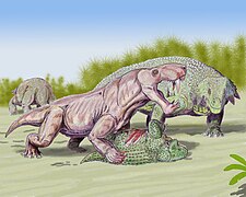 Restitution par D. Bogdanov d’un Inostrancevia alexandri attaquant un Scutosaurus juvénile.