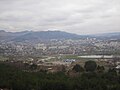 Wooded hills of Kislovodsk (= 'Sour-water-town'), viewed from summit of Mount Koltso (re. P. orientalis).