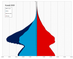 الهرم السكاني لدولة الكويت سنة 2020