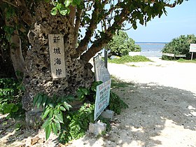 新城海岸