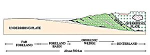 This diagram shows the dynamics of two continental plates colliding.