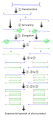 Thumbnail for version as of 23:53, 11 December 2021