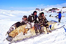 Color photograph of three Inuit persons on a traditional qamutik (sled), in a snow-covered landscape in Cape Dorset.