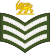 Staff Sergeant