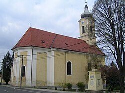 Roman Catholic church